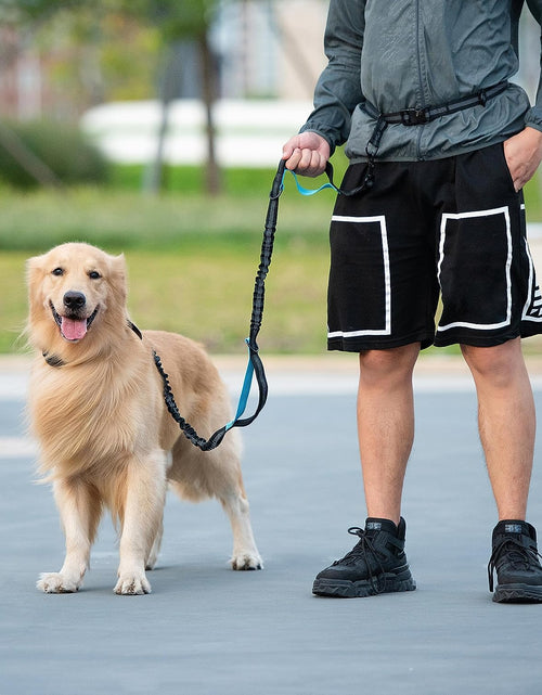 Load image into Gallery viewer, Hands Free Dog Leash with Zipper Pouch, Dual Padded Handles and Durable Bungee for Walking, Jogging and Running Your Dog, Medium (8-25 Lbs) | Large (25-150 Lbs)
