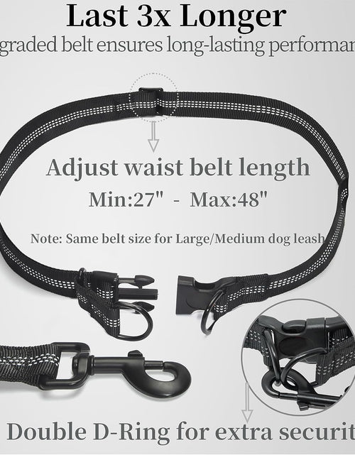 Load image into Gallery viewer, Hands Free Dog Leash with Zipper Pouch, Dual Padded Handles and Durable Bungee for Walking, Jogging and Running Your Dog, Medium (8-25 Lbs) | Large (25-150 Lbs)
