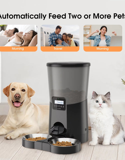 Load image into Gallery viewer, Automatic Dog Feeders, Pet Food Dispenser, Cat Feeder with Dual Stainless Steel Bowl for 2 Cats Pets, 8L, Black
